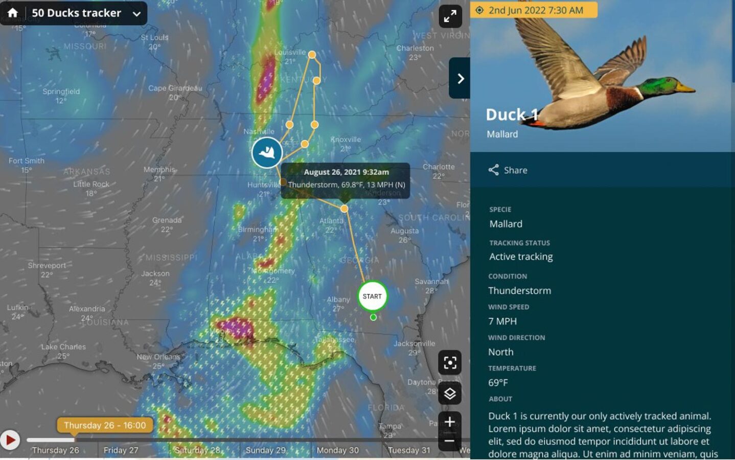 Live Stream Duck Tracker Waterfowl Migration Map
