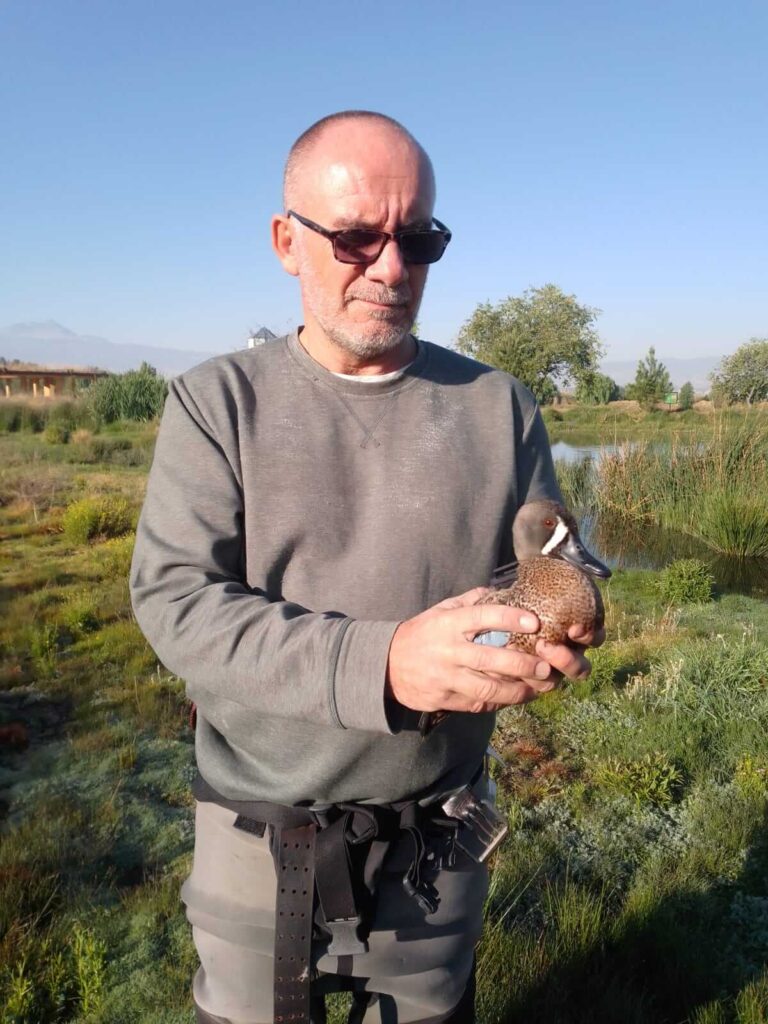 Manuel grosellet holding a blue wing teal duck