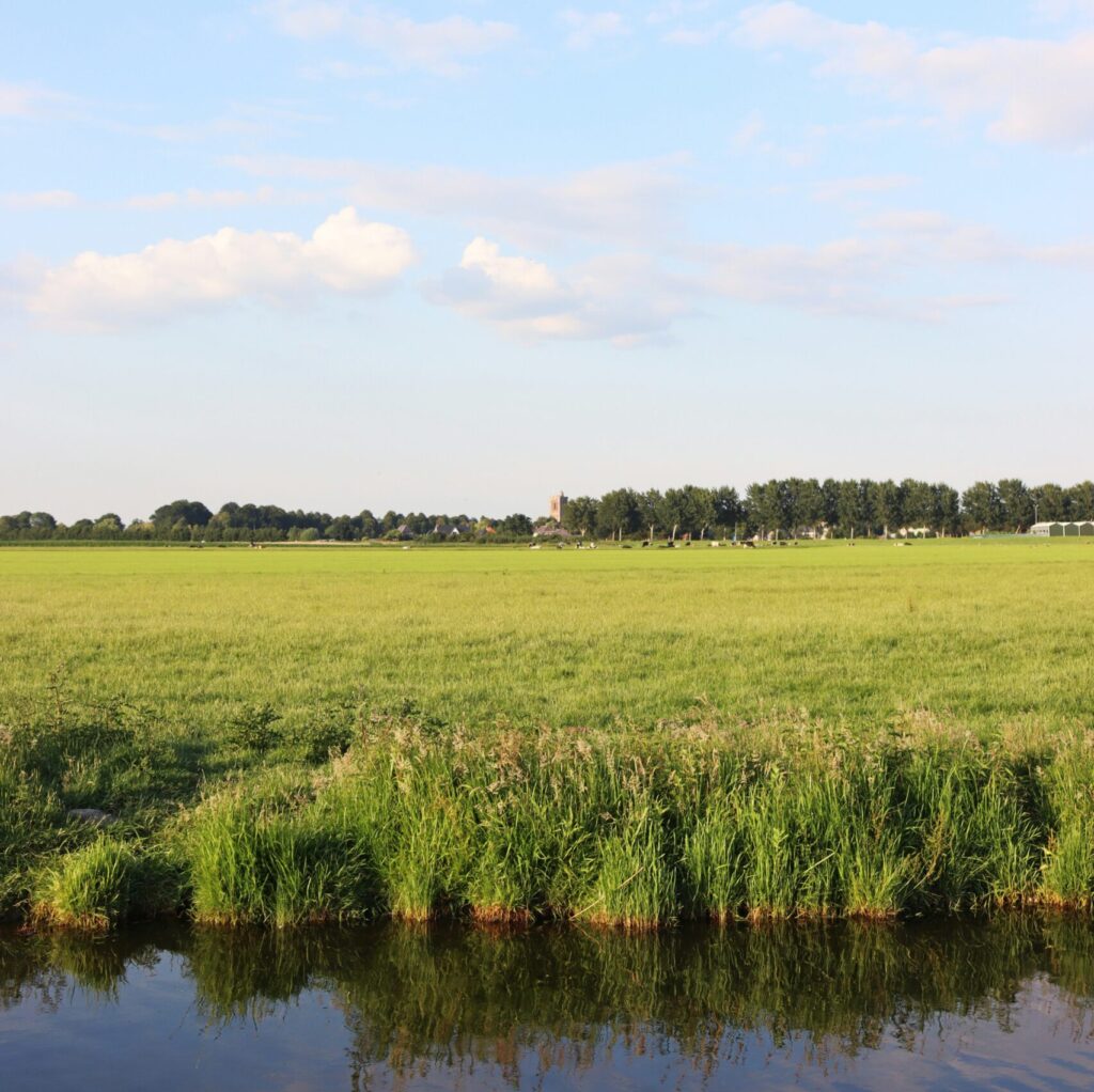 Grasslands located near a farming community