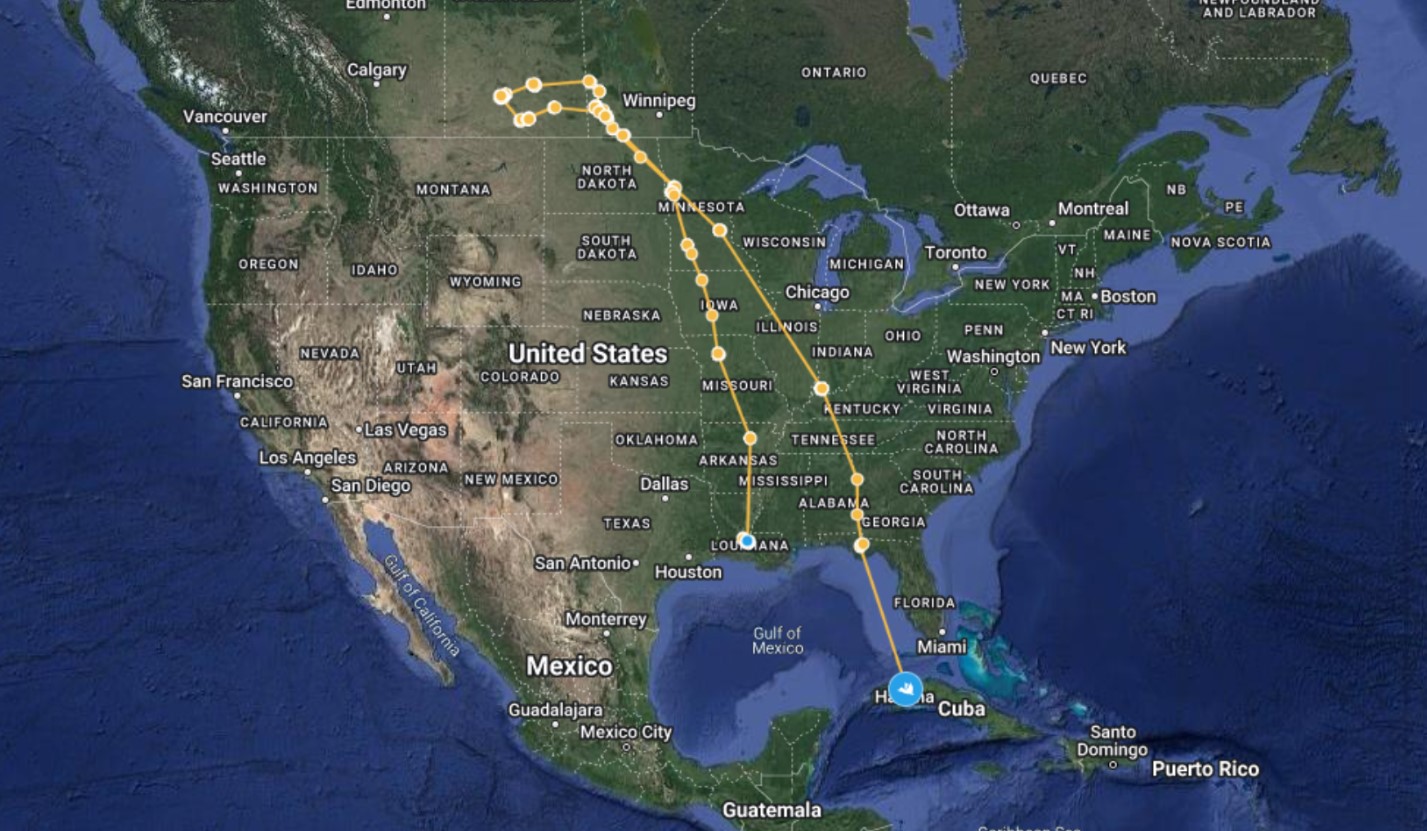 Blue-Winged Teal #35’s entire journey.