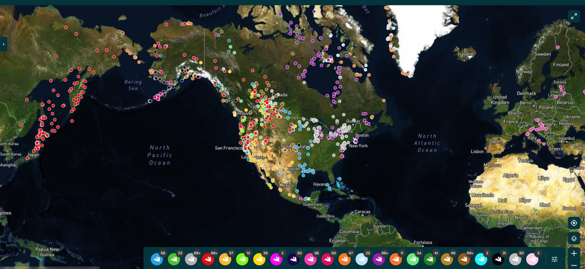 50 Ducks Real-Time Duck Map Tracker