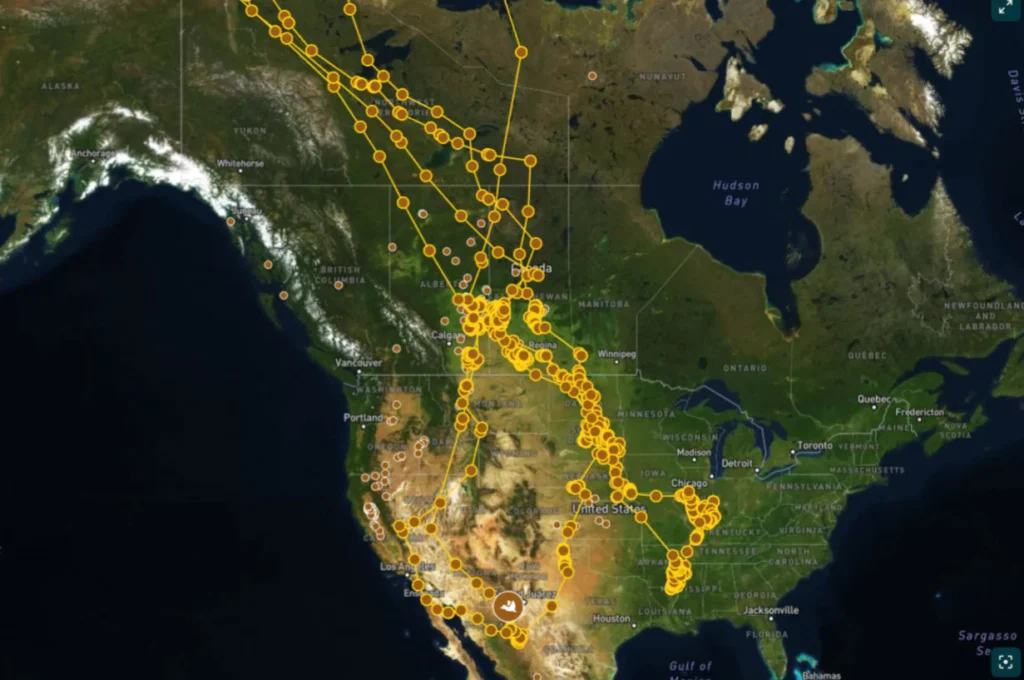 Waterfowl Flyway Maps - 50 Ducks