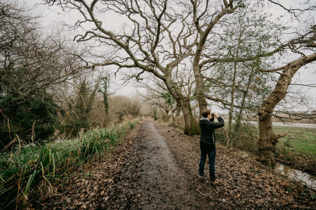 Man with binoculars in a marsh